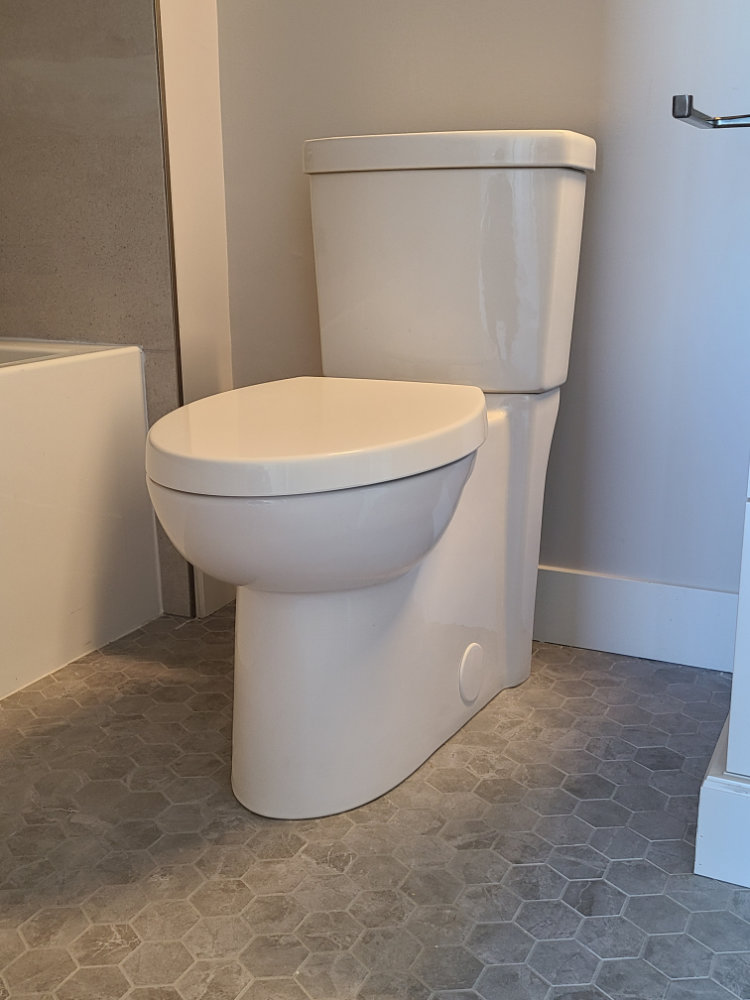 Custom bathroom fixture in a Joyce Home